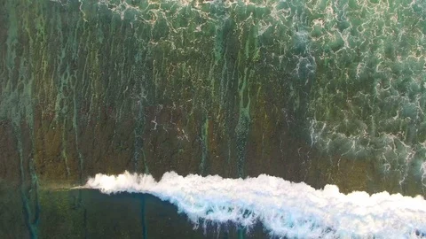 Waves breaking over shallow reef then flying over palm trees Stock Footage 93783103