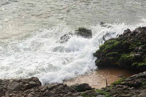 Waves Breaking on Rocks with Algae Stock-Fotos