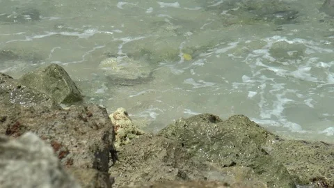 Waves Breaking Onto Rocks In Barbados Stock Footage 106893066