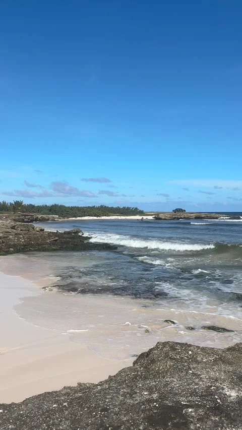 Waves Breaking on Rocky Tropical Beach, Barbados Caribbean Stock Footage 337972595