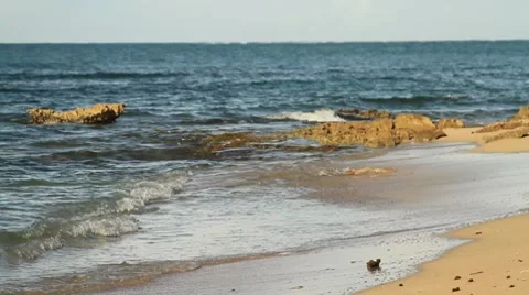 Waves breaking in sand on beach Stock Footage 8763246