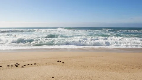 Waves breaking on sandy beach with sea urchins. Slow zoom in. Video stock 104447656