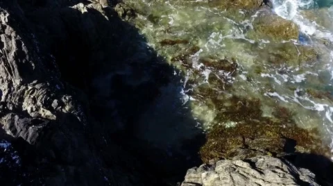 Waves breaking on seaweed covered rock with the tide coming in. Stock Footage 66450603