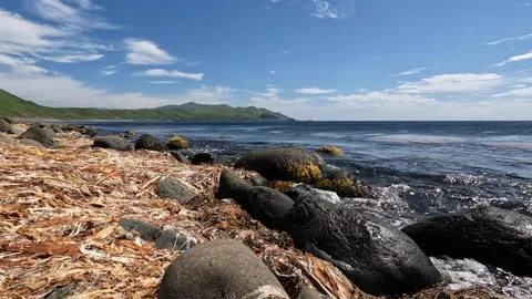 Waves breaking on seaweed covered rocks along Japanese coast Stock Footage 206674016