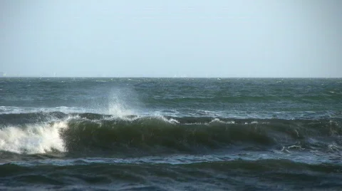 Waves breaking on shallow water at coast and spraying  in strong offshore wind Video stock 301600