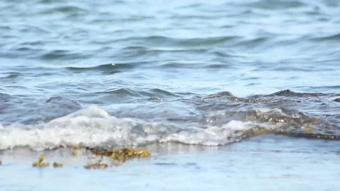 Waves breaking on shingle on shore Stock Footage 73275360
