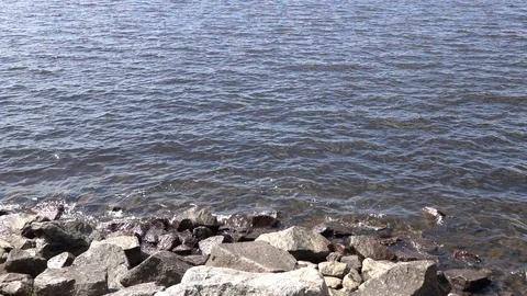 Waves breaking on shore. 動画素材 98427616