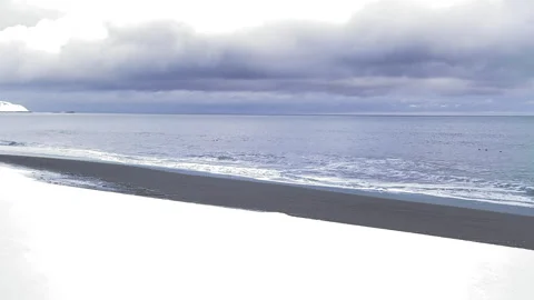 Waves breaking on snow-covered beach in winter Stock Footage 319574680