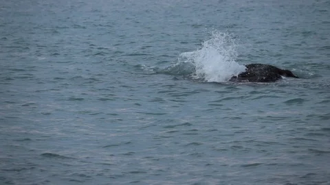 Waves breaking on stone. Stock Footage 98427719