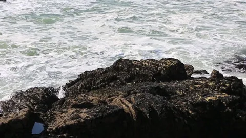 Waves in Brittany Stock Footage 131897898