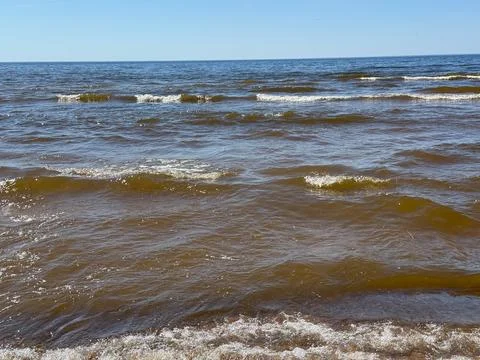 Waves on Brown Baltic Sea Water Under Clear Blue Summer Sky 스톡 사진