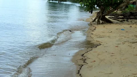 Waves on a calm beach in the morning Stock Footage 280676121