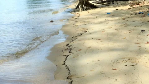 Waves on a calm beach in the morning Stock Footage 280676151