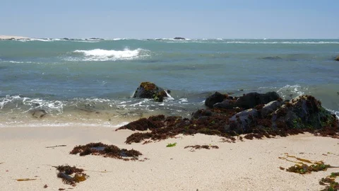 Waves carry seaweed onto the sandy beach in summer Stock Footage 104583586