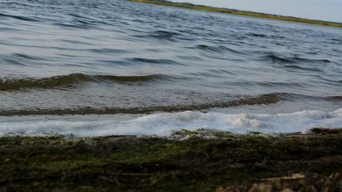 Waves carry to the shore foam Video stock 80456260