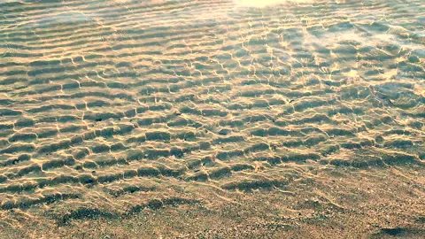 Waves of clean transparent water rolling onto sand of shore on sunny day Stock Footage 306367312