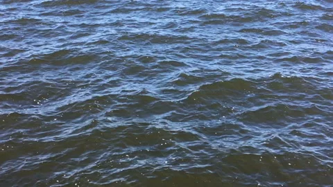 Waves of clear water on the river close-up. Summer vacation. Video stock 115794693