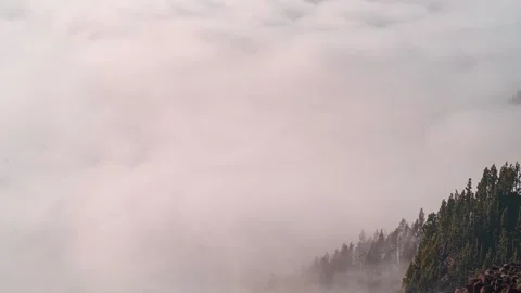 Waves of Clouds Flowing Through Pine Forest Tenerife Volcanic Slopes 4K Timelaps Stock Footage 333417088