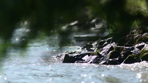 Waves on the coast of the danube river in austria Stock Footage 136452703