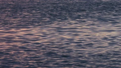 Waves on the coast of the danube river in austria Stock Footage 147171104