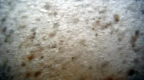 Waves on coast 스톡 동영상 11407747