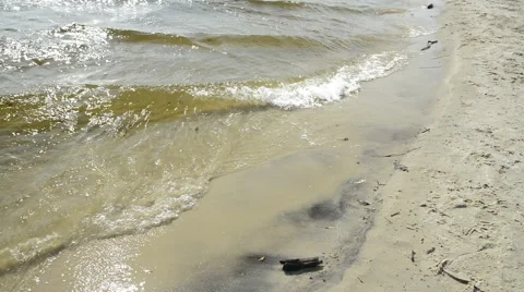 Waves on the coast 動画素材 48903484