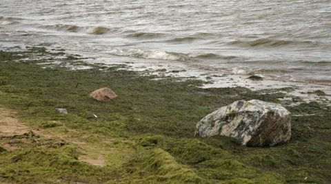 Waves on the coastline of the Baltic sea Stock-Footage 65025406