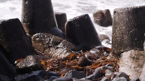 Waves Colliding with Coastal Barriers, Ocean Spray and Stones Stock Footage 321059247