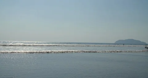 Waves come in from the ocean and two dogs run through the frame Stock Footage 108577837