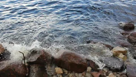 Waves coming from passing ship in river Stock Footage 11386595