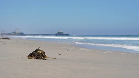 Waves coming in with pier in the background. Stock Footage 191331405