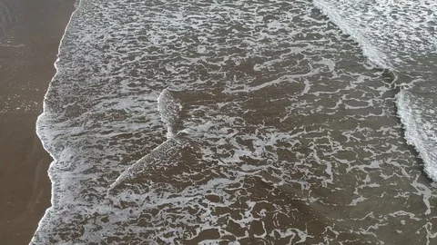 Waves coming in on on sandy beach Stock Footage 126751362