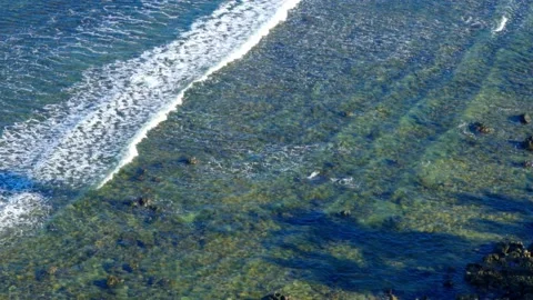 Waves on a coral reef Video stock 168490275