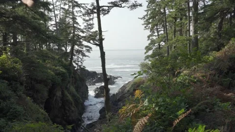 Waves in a Cove, Coastal Ocean Vídeo Stock 165357962