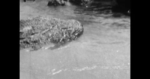 Waves crash against rocks at beach, sea spray in air. Natural sea wave motion Vídeos de archivo 312317488