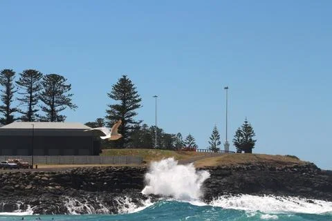 Waves crash against rocks while a seagull soars above a coastal landscape o.. Stock Photos