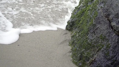 Waves crash on the beach. close up. slow motion. Video stock 78589941