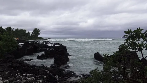 Waves crash on the beach of lava rock Video stock 81680039