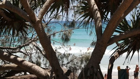 Waves crash between palm trees in slow motion Stock Footage 88667213