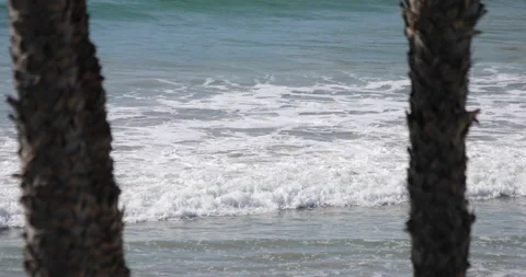 Waves Crash Between Palm Trees Stock Footage 232509787