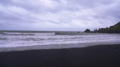 Waves crash on black sand beach with seagulls under moody clouds in Vik Iceland Stockbeeldmateriaal 327082707