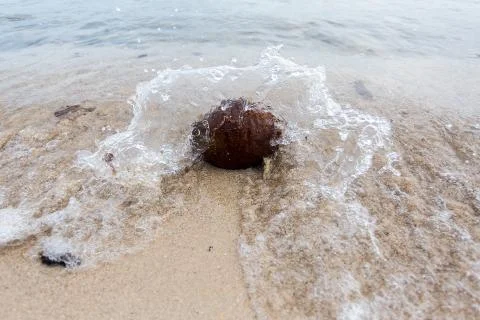 Waves crash  coconut Stock Photos