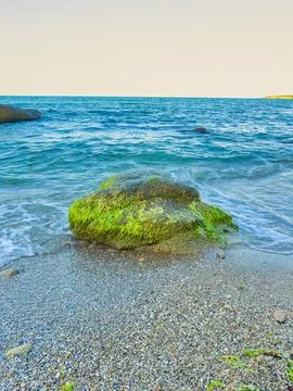 Waves crash gently on a rock covered with green moss by the shore at a beac.. Stock Photos