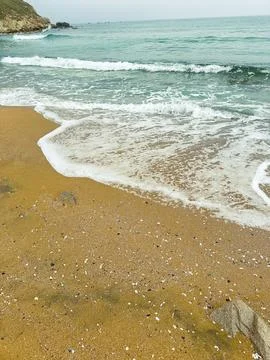 Waves crash gently on the sand at a beach. Seashells are scattered along the  Stock Photos