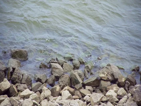 The waves crash on rocks slow motion Video stock 81552618