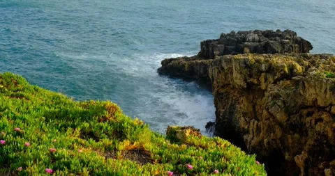 Waves crash, rugged cliffs, pink flowers, Atlantic coast near Cascais, Portugal Stock Footage 309654727