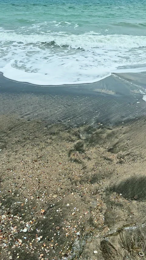 Waves crash on sandy beach at mid-morning with scattered shells and wet sand Stock Footage 340879251