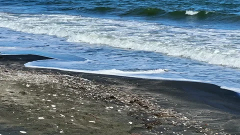 Waves crash on a sandy beach with seashells and a blue sky during a sunny day by Stock Footage 336490950