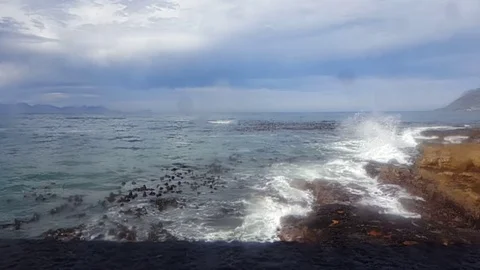 Waves Crashing Against Rocks in Cape Town, South Africa Видео 100857066
