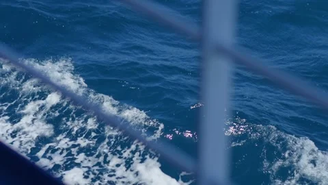 Waves crashing alongside a ferry, creating foamy patterns in the water in 4.. Stock Footage 292764929